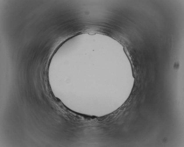 X0000094420289200712061057