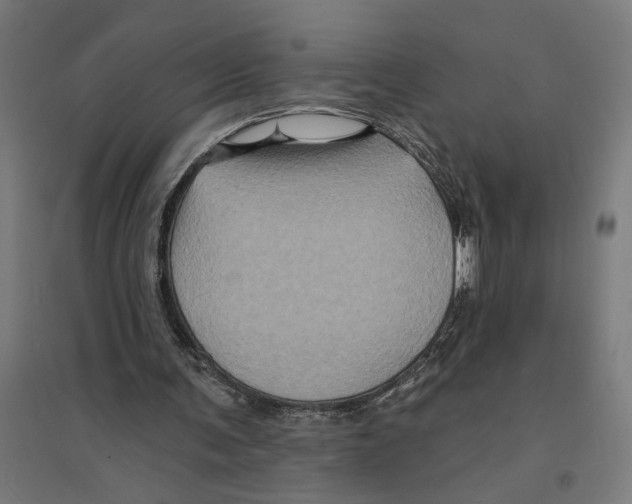 X0000094420291200712061057