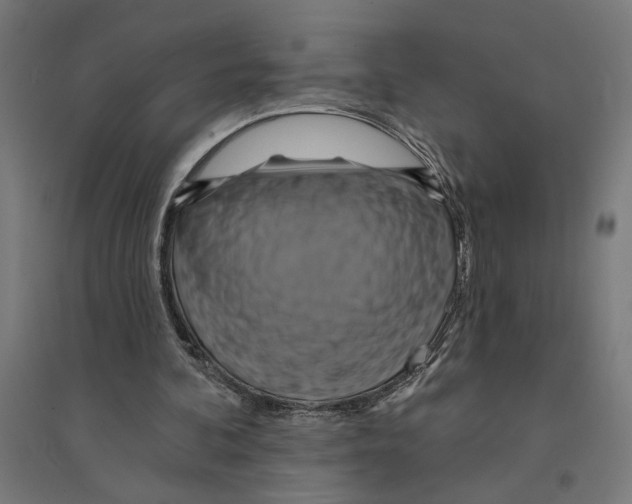 X0000094420292200712061057