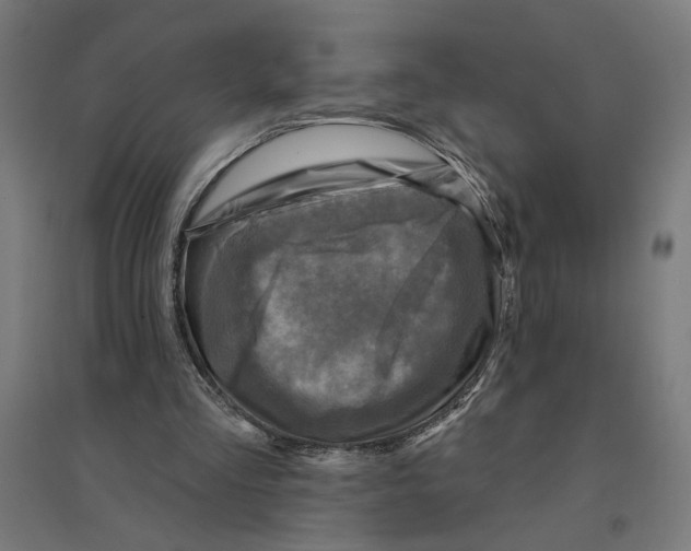 X0000094420293200712061057