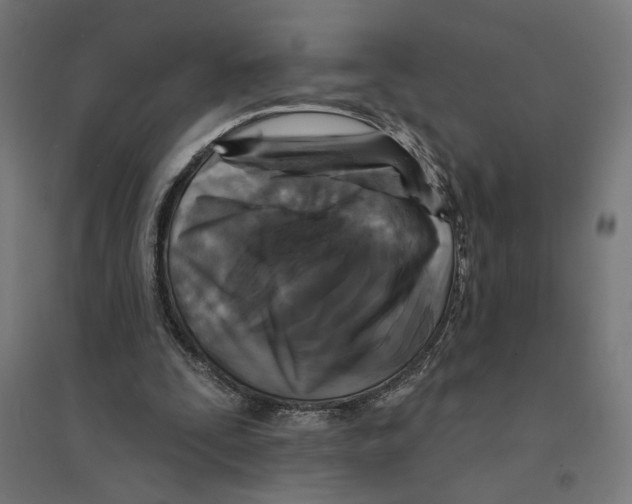 X0000094420295200712061057