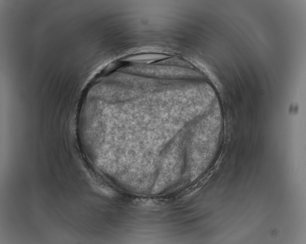 X0000094420297200712061057