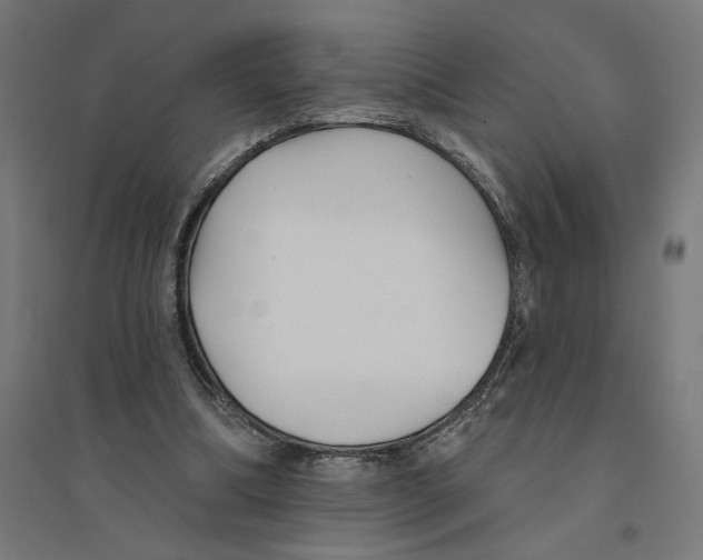 X0000094420298200712061057