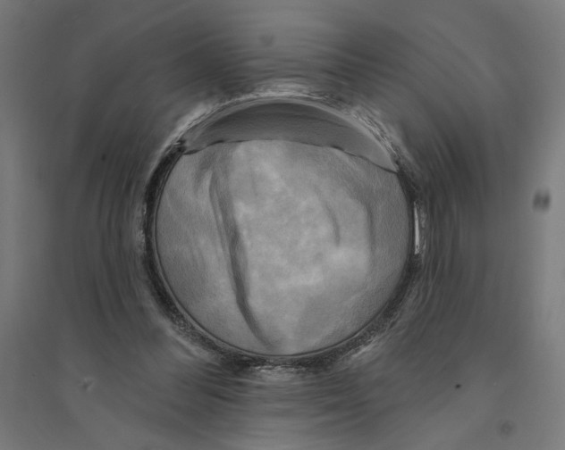 X0000094420300200712061057