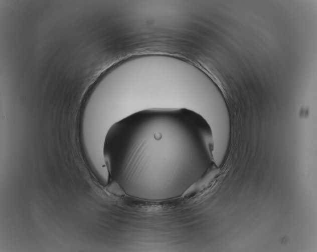 X0000094420301200712061057