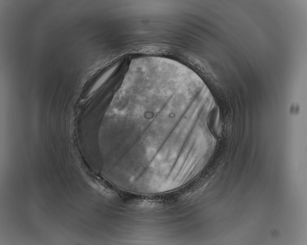 X0000094420303200712061057