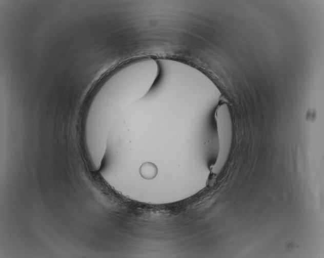 X0000094420304200712061057