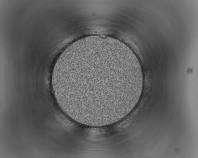 X0000094420305200712061057