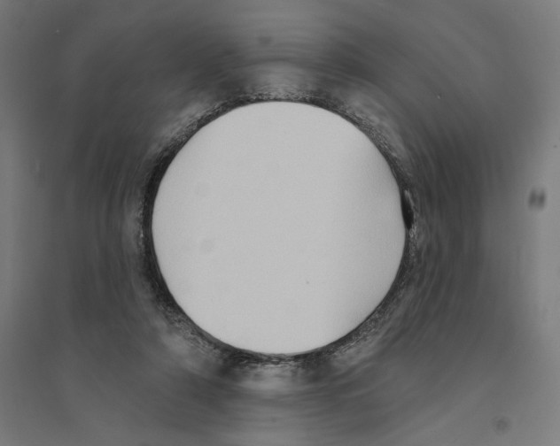 X0000094420306200712061057