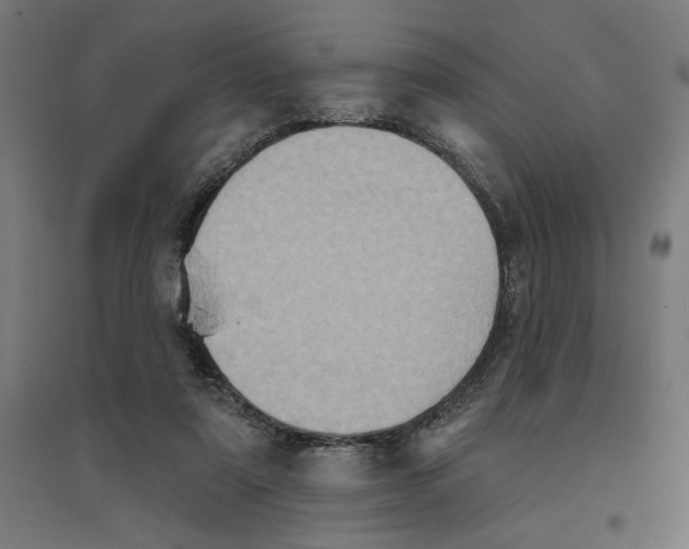 X0000094420307200712061057