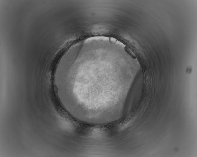 X0000094420308200712061057