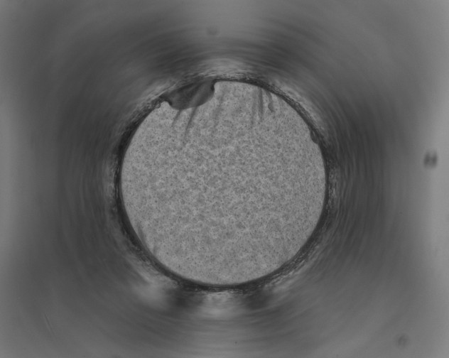 X0000094420309200712061057