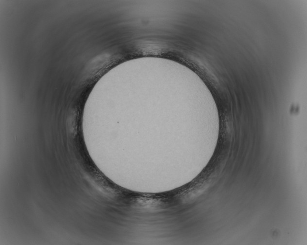 X0000094420311200712061057