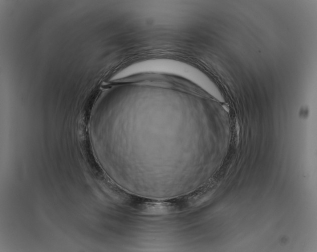 X0000094420316200712061057