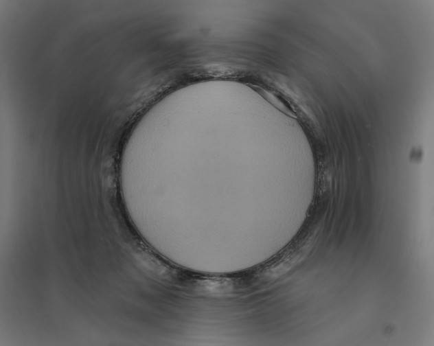 X0000094420317200712061057