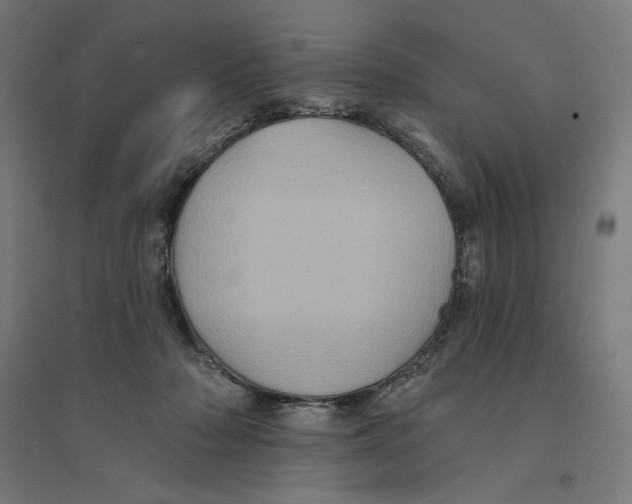 X0000094420318200712061057