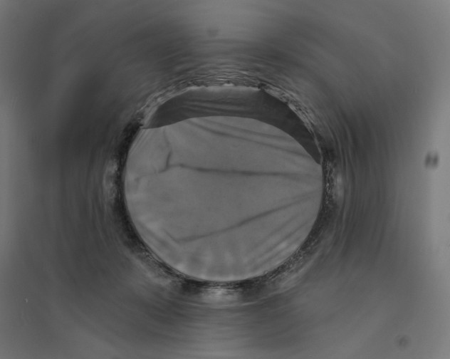 X0000094420319200712061057