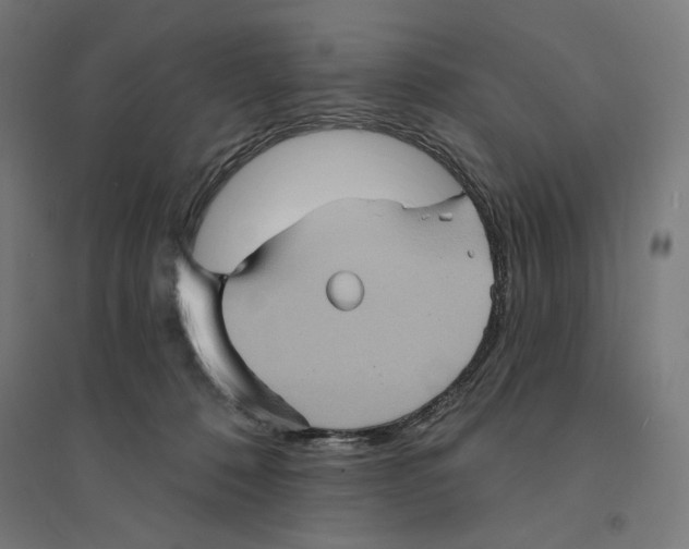 X0000094420320200712061057