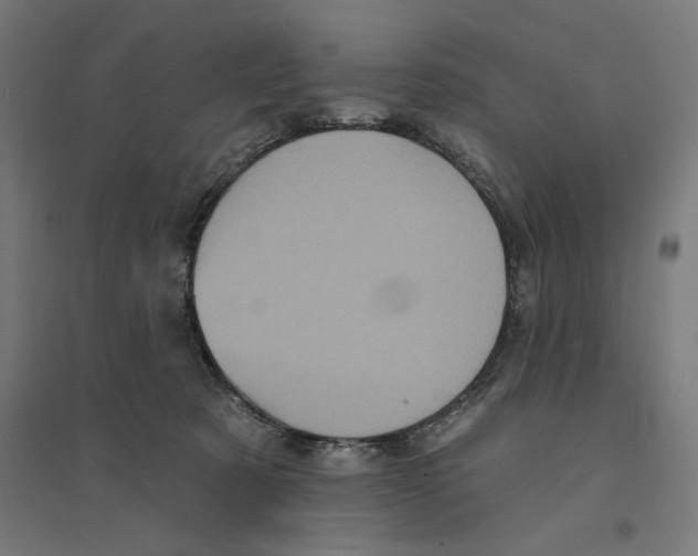 X0000094420321200712061057