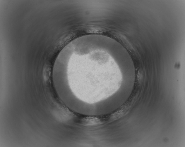 X0000094420322200712061057