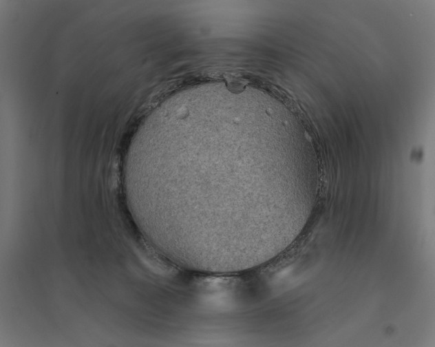 X0000094420323200712061057