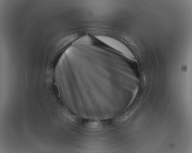 X0000094420325200712061057