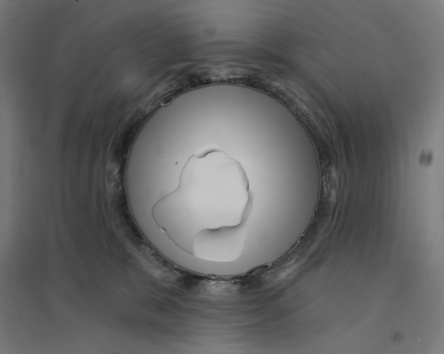 X0000094420327200712061057