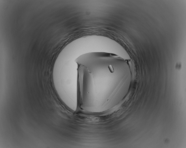 X0000094420328200712061057