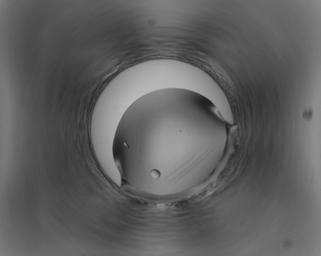 X0000094420329200712061057