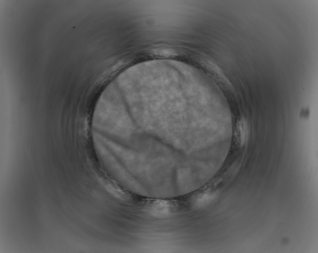 X0000094420330200712061057