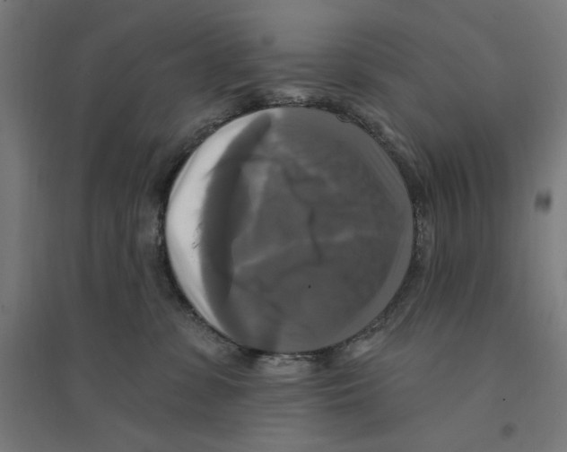 X0000094420331200712061057