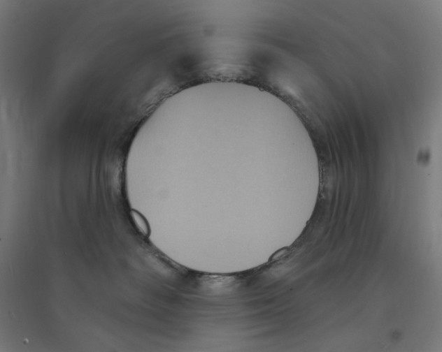 X0000094420334200712061057