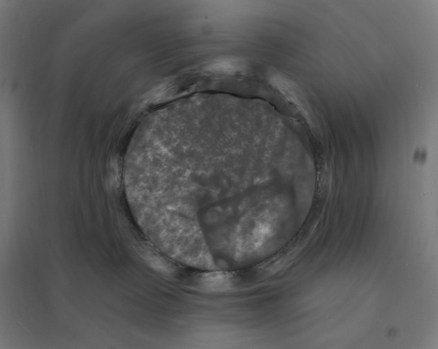 X0000094420335200712061057