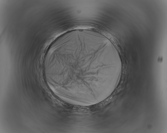 X0000094420337200712061056