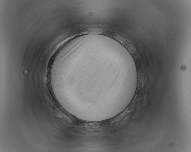 X0000094420338200712061056