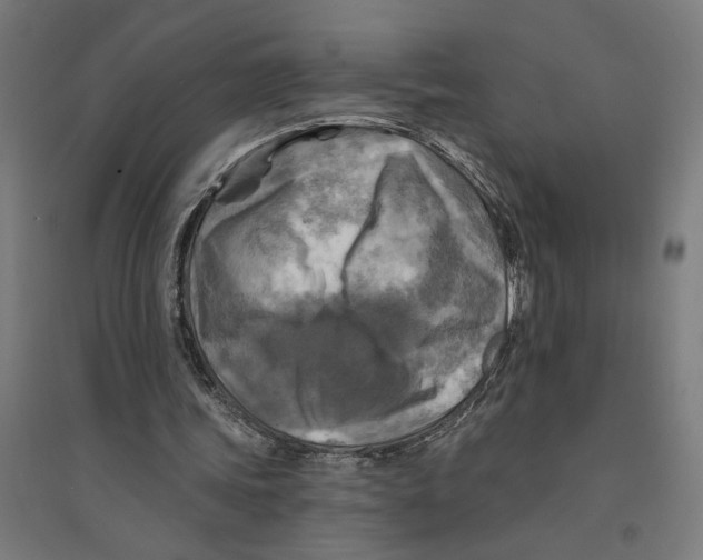 X0000094420339200712061056