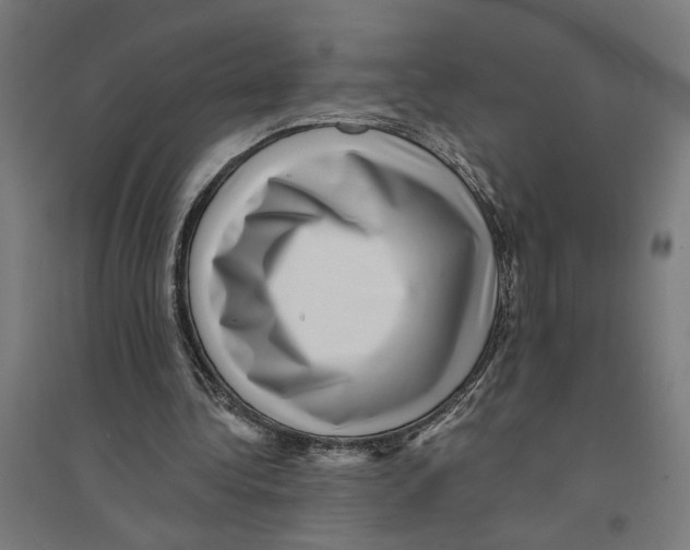 X0000094420340200712061056