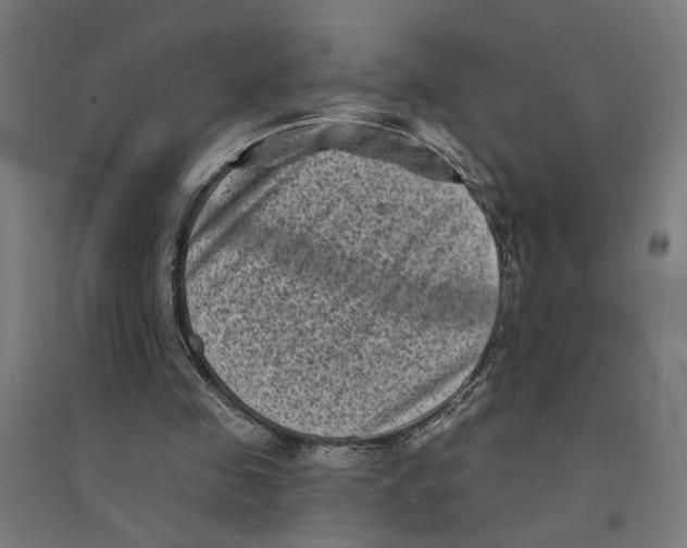 X0000094420341200712061056