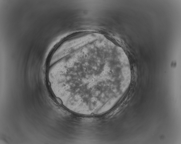 X0000094420342200712061056