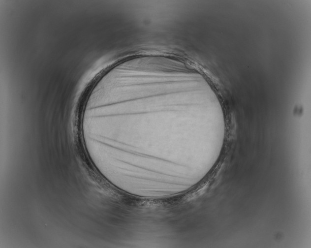 X0000094420343200712061056