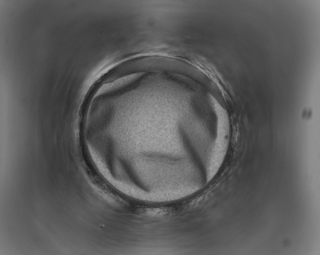 X0000094420344200712061056