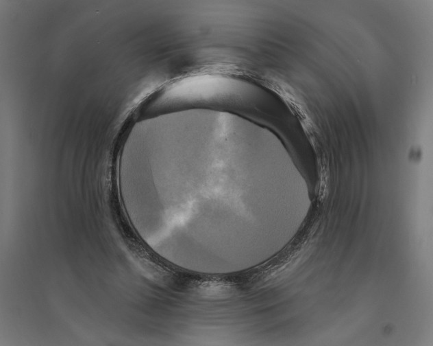 X0000094420348200712061056