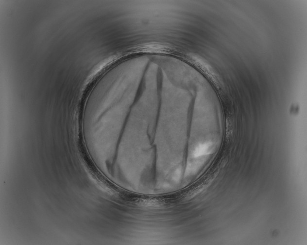 X0000094420349200712061056