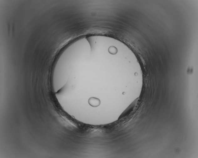 X0000094420352200712061056