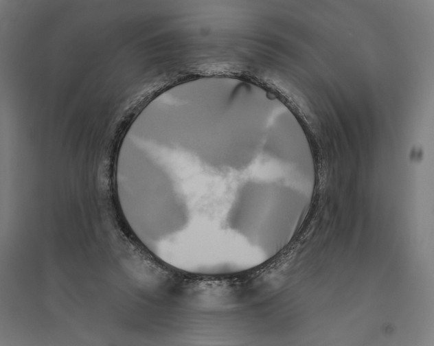 X0000094420353200712061056