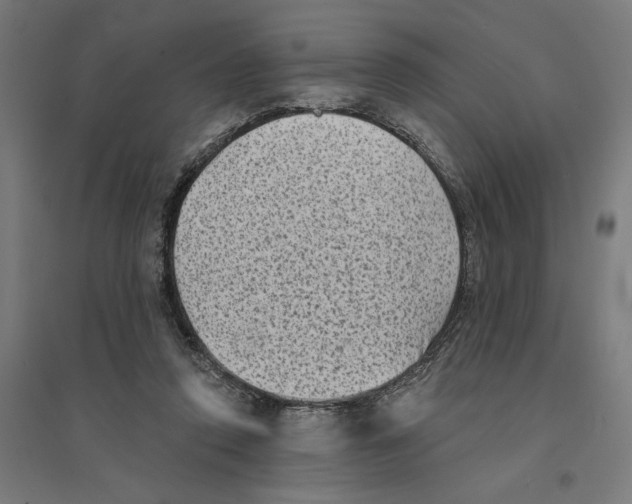 X0000094420354200712061056