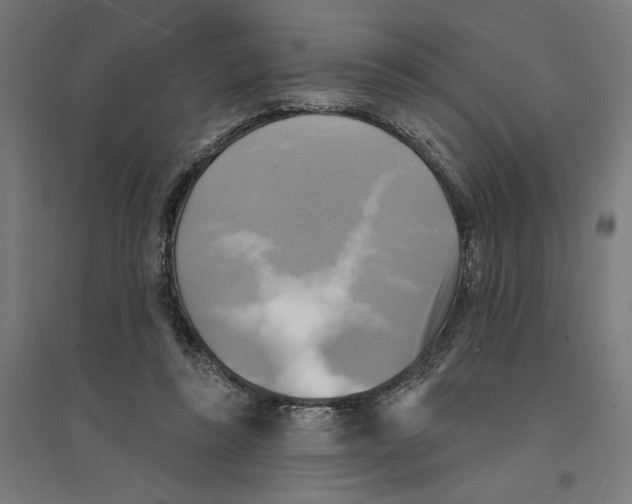 X0000094420355200712061056