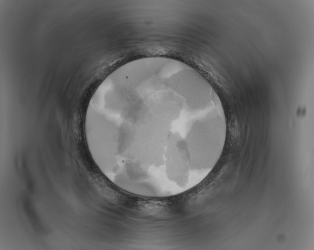 X0000094420359200712061056