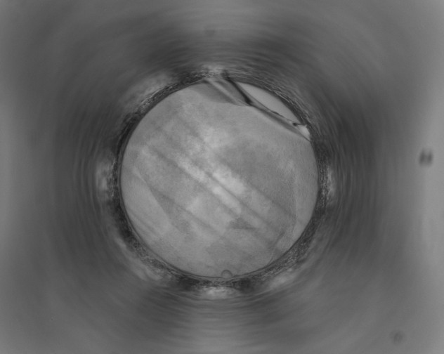 X0000094420360200712061056