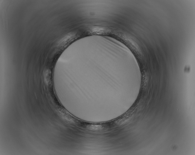 X0000094420361200712061056